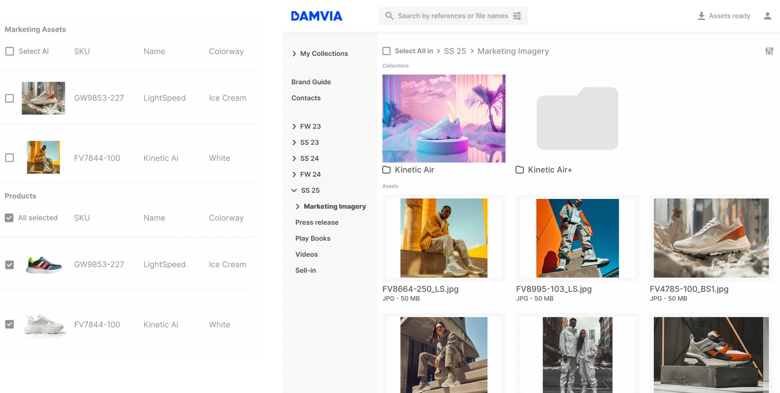 Damvia Dashboard Preview